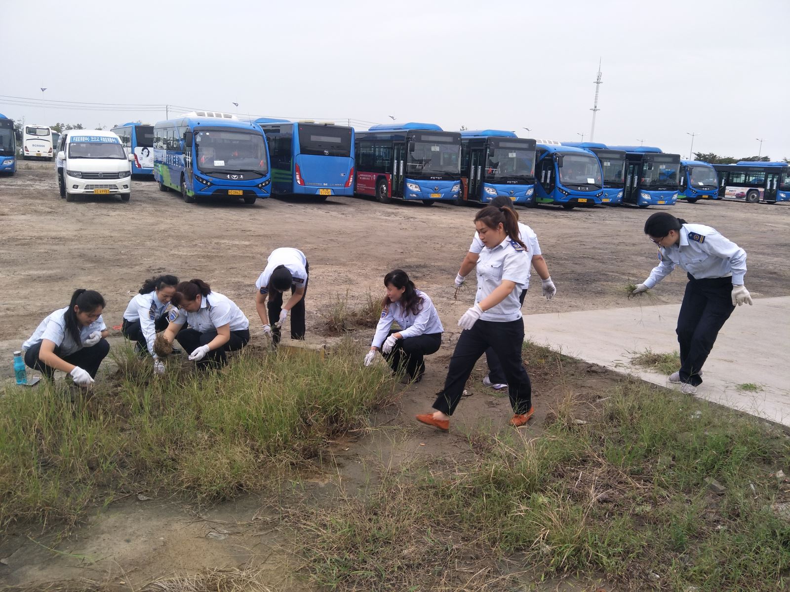 公交集團佳連公司開展停車場拔草活動 為創(chuàng)文助力